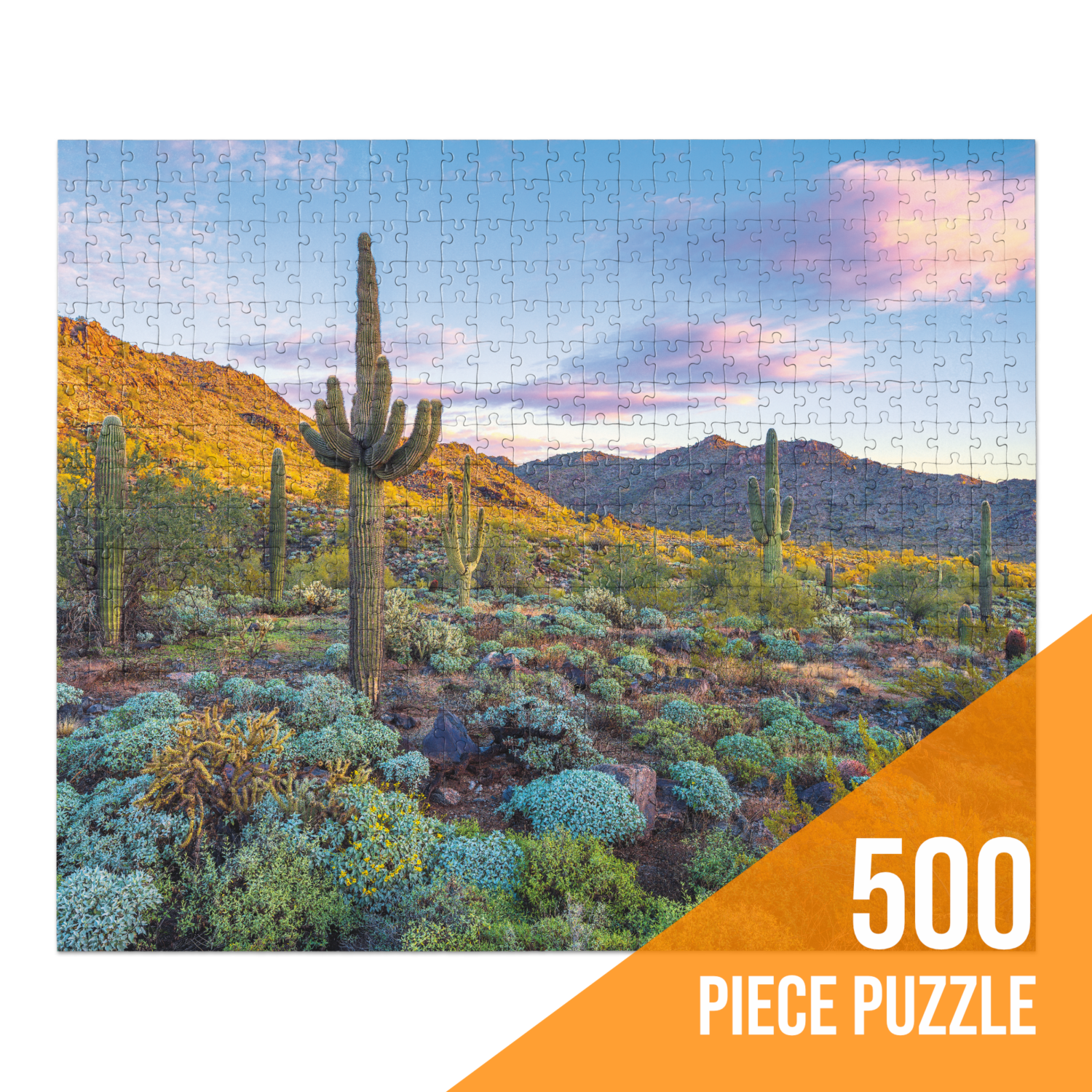 Dream In Color by Scott Smorra