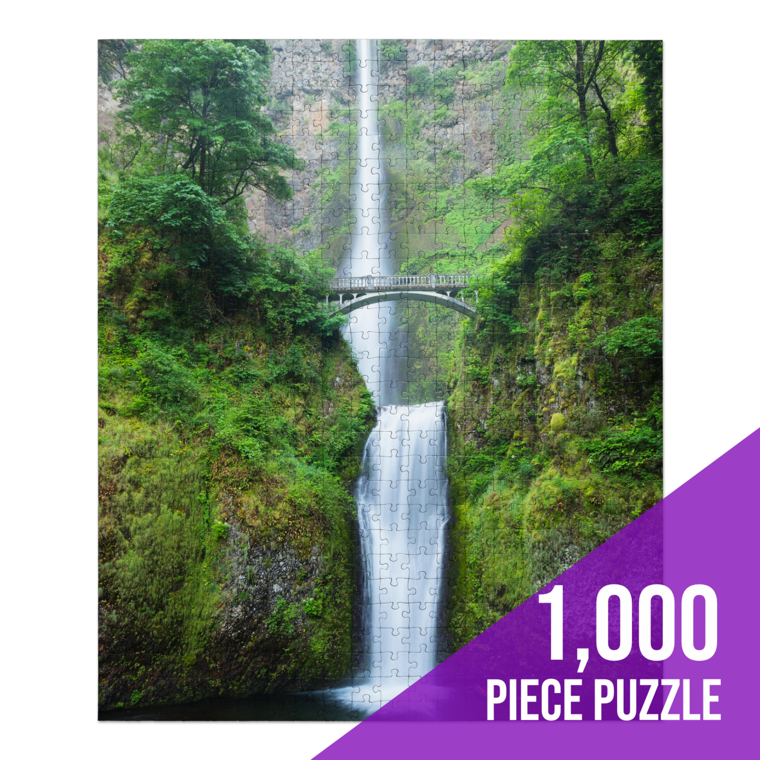 1,000 Piece Multnomah Falls by Richard Wong