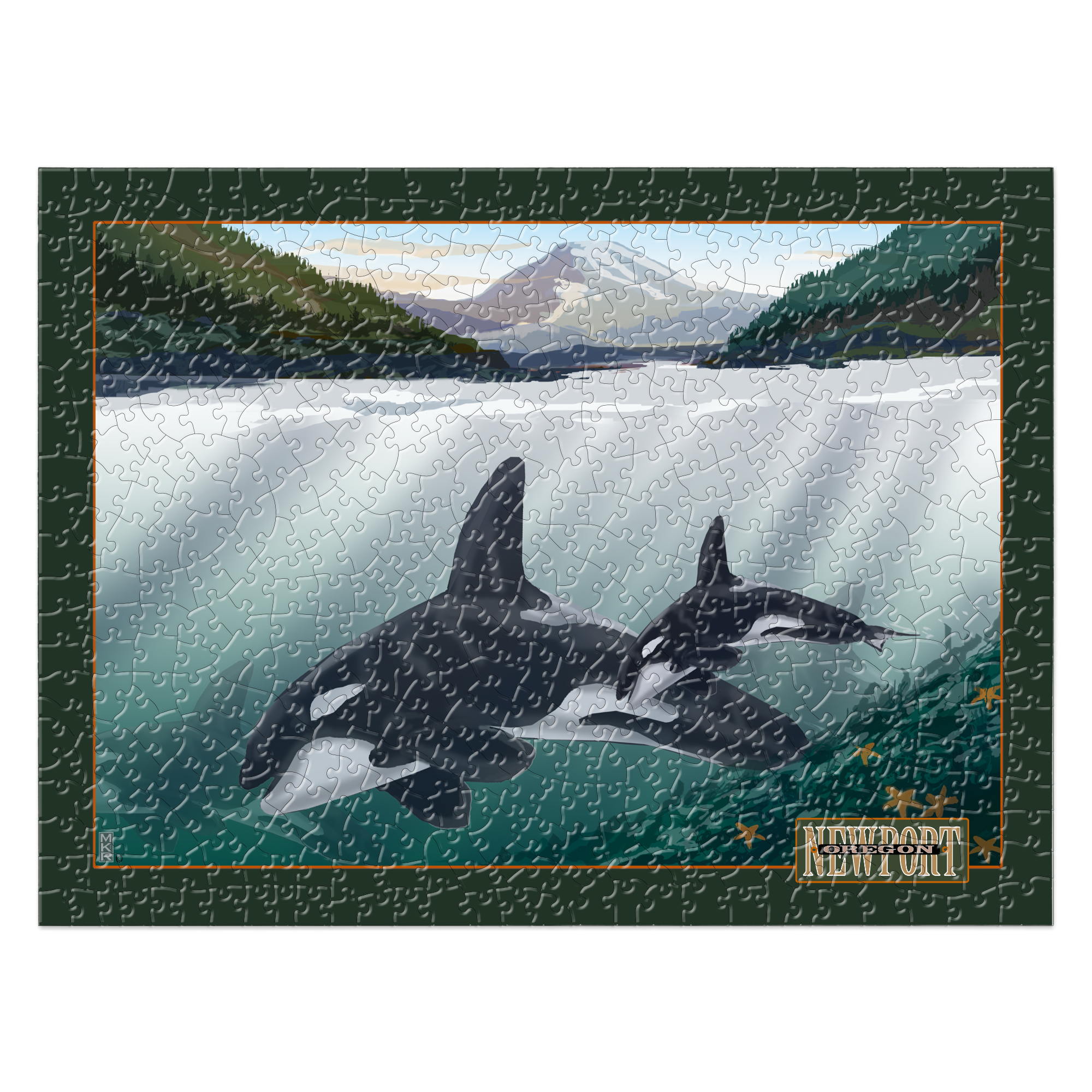 Orcas of Newport, Oregon